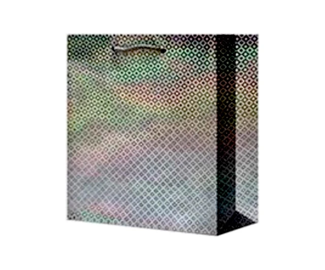 Пакет подарочный ламинированный 22х31+10см НГ