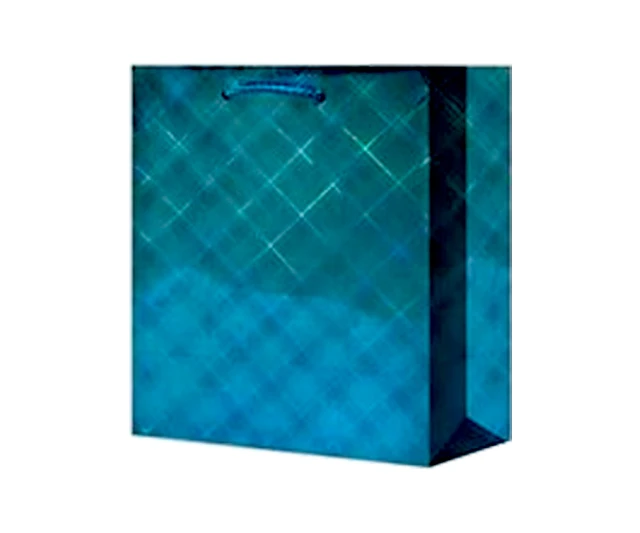 Пакет подарочный ламинированный 22х31+10см НГ