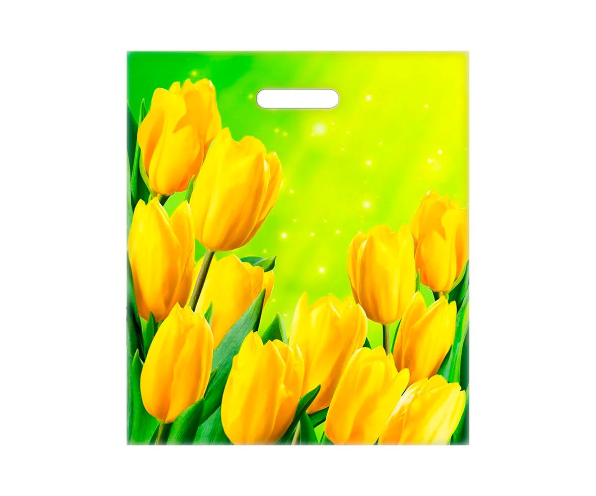 Пакет ПВД "Солнечные тюльпаны" 38х45см  с пробивными ручками (Тико/Артпласт)
