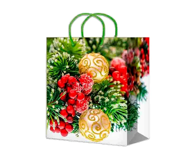 Пакет подарочный ламинированный 18х23+10см НГ