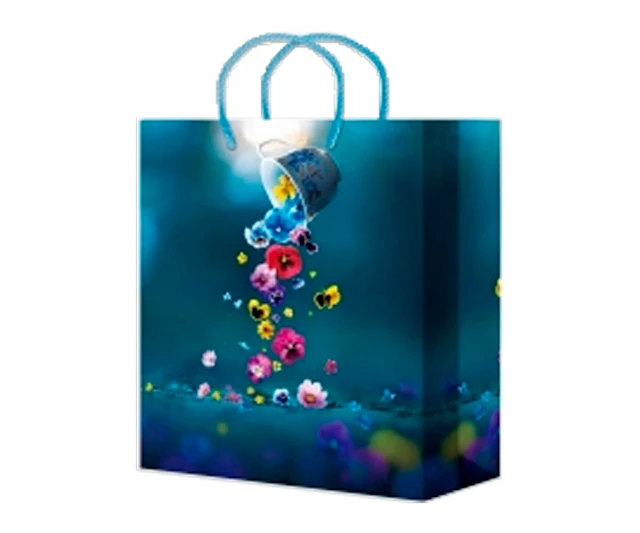 Пакет подарочный ламинированный 26х33+14см НГ